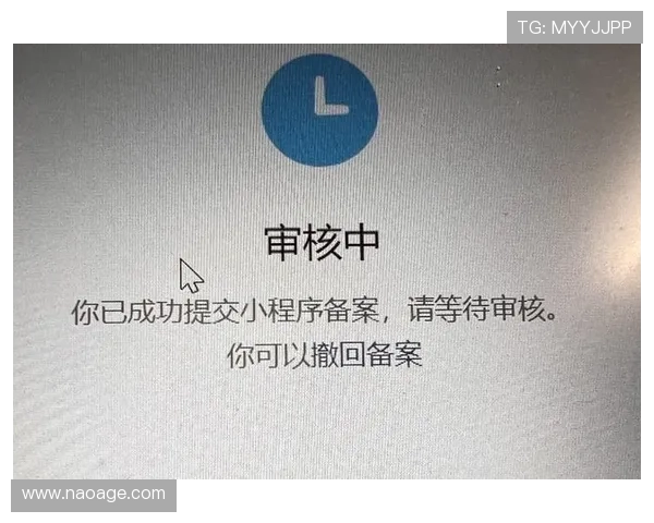 开云网站备案失败原因分析及解决方案，确保网站顺利通过备案审核